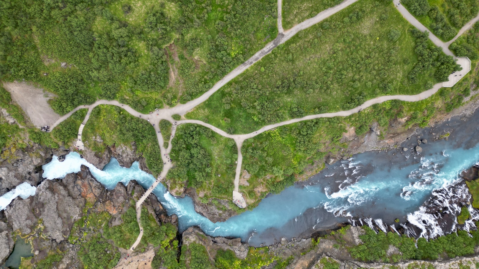 an aerial view of a river running through a lush green forest