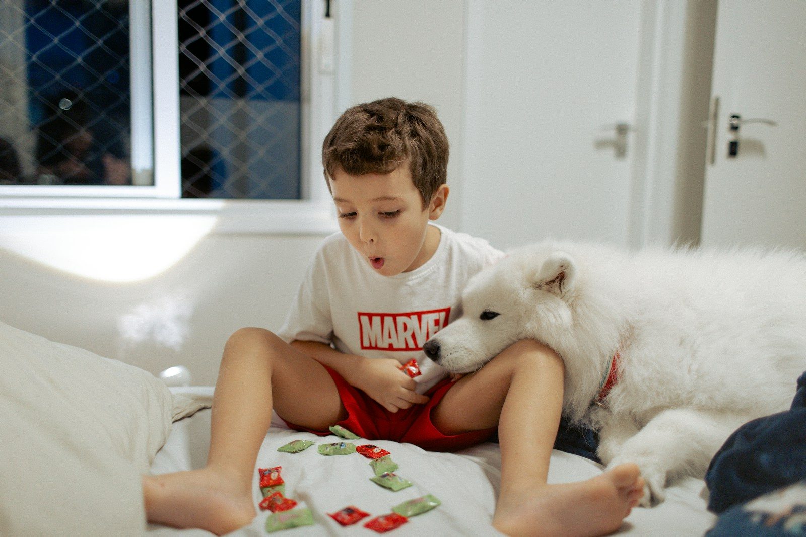 Boy and white dog playing board game on bed