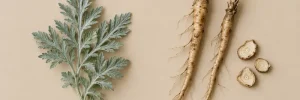 Wormwood vs Dandelion Root Bitters: A Practical Comparison